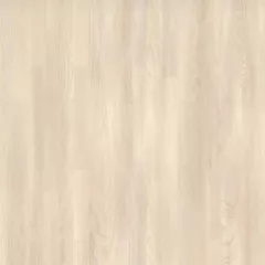 Salsa