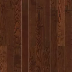 Rumba
